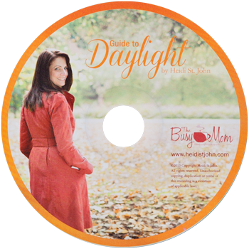 workshop-disc-daylight